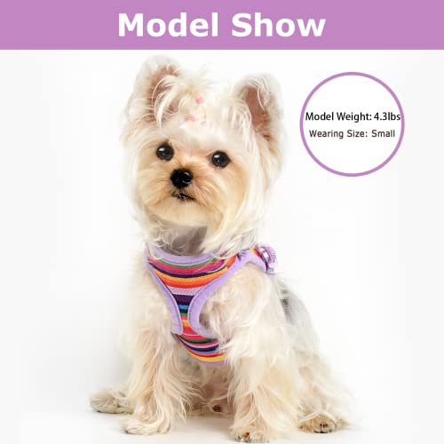 Xsmall Dog Harness Vest For Small Dogs And Medium Dogs By Best Pet Supplies No Pull Soft Step In Escape Proof Reflective Harness And Leash Set (Purple Harness And Leash, Xx-Small) #TOP1