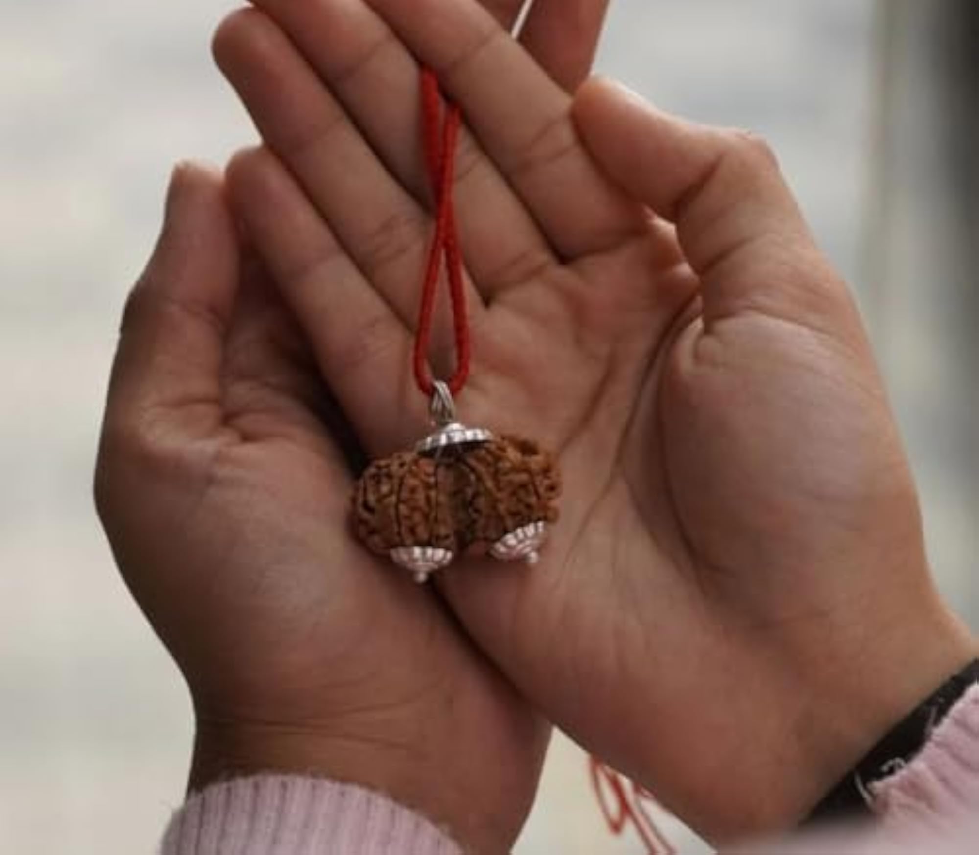 Combined Gauri Shankar Rudraksha Bead