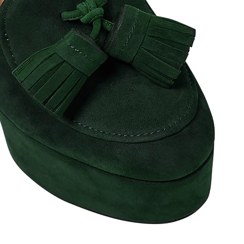 Image of SHODENSE Women Vintage Chunky Platform Loafers Pumps Tassel Round Closed Toe Slip On Suede Block High Heel Dress Loafer Shoes Buckle Strap Oxford Loafers Fringe Pump Dressy Chic Sexy Y2k 4-11 M US