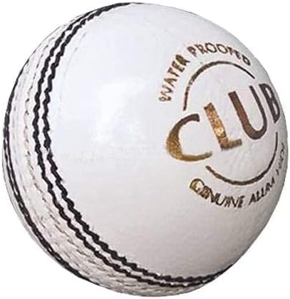 REINDEER Training Cricket White Leather Hanging Ball Heavy Practice-Ball for Senior Players (150Gm-170Gm Each)
