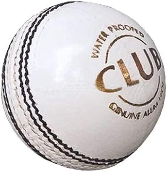 REINDEER Training Cricket White Leather Hanging Ball Heavy Practice-Ball for Senior Players (150Gm-170Gm Each)