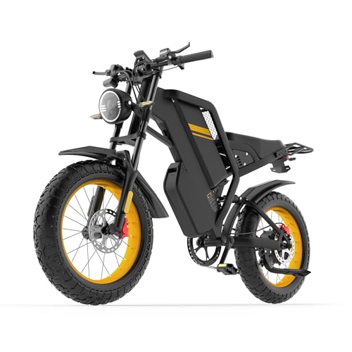 Raysync Electric Dirt Bike for Adults, 60V 2000W Peak Power