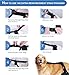 K2QUALITY - Large Dog Support Brace - ACL, Hip Dysplasia & Luxating Patella Care