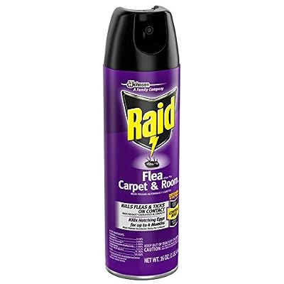 Raid Flea Killer Carpet and Room Spray, 16 Ounce (Pack of 1)