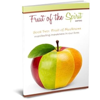 Fruit of Meekness Audiolibro Por L. Velez arte de portada