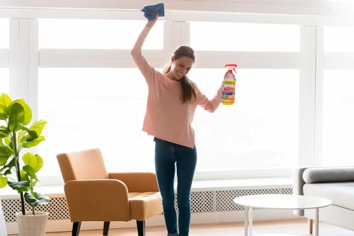 Quitagrasas Concentrado para todas las superficies 5L incluye pulverizador y paño microfibra 7
