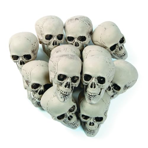 Fun Express Bag of Realistic Bulk Skeleton Skulls 5 Inch Human Skulls Halloween Decorations, Bar and Table Halloween Decor, Spooky Yard Decor - White (12 Pack)