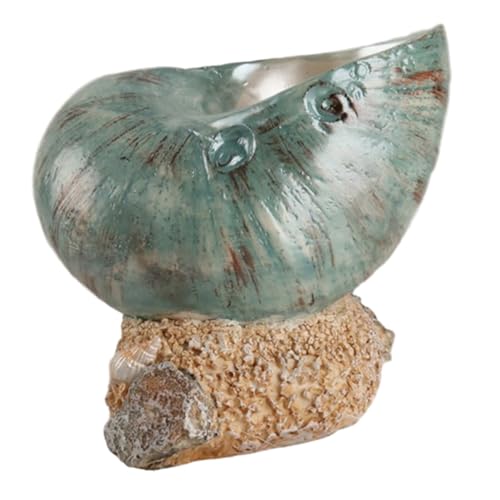 Ciieeo Conch Ornaments Beachy Sea Decor Fish Sand Beach Towel Animal Shells Clam Shell Decor Decorate Nautical Decoration Sea Creatures Board Shell Figures Large Conch Seashell Resin