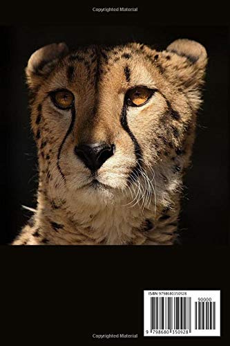 NOTEBOOK: Cheetah notebook with 120 lined pages 6” x 9” perfect for everyday use - Image 2