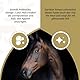 Holland Animal Care Excellent Equi Prebiotics - Fördert die Darmtätigkeit und REGT den Appetit an - Geeignet für Pferde - 2,5kg