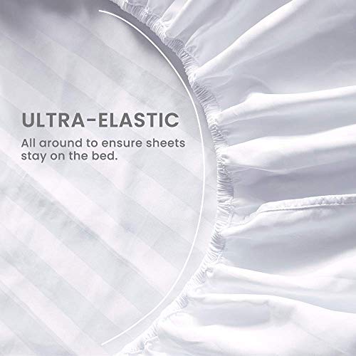 Cottonwalas Heavy Egyptian Cotton At Affordable Price Emperor Size 6-Pcs Sheets Set (1 Fitted, 1 Flat, 4 Pillowcase) Fits 26-28" Pockets Depth, True 1500-Tc Bed Sheets For Bed (Stripe, Royal Blue) #TOP2