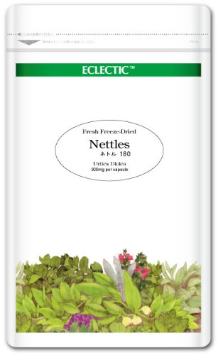 エクレクティック ネトル Ecoパック 300mg×180カプセル ec034