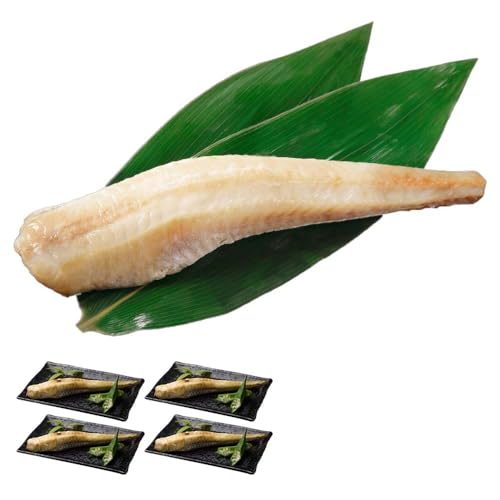 kCY p݊100g 4pbN ͂ p nbJN kC  Mtg Zbg  CN Ⓚ lߍ킹 k̑蕨