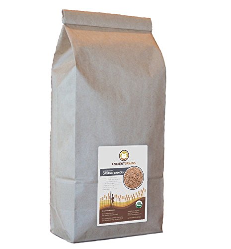 10lbs Organic Einkorn Wheat Berries (Farro Piccolo)