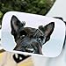 2-Pack Black Scottish Terrier Car Decal Sticker, 5.51