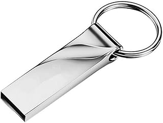 Hemobllo Pen Drive De Disco U Com Chaveiro Pen Drive Pen Drive Para Armazenamento USB 20 Drive Jump Drive USB 20 Flash Drive Liga De Zinco Prata Chaveiro Computador 2 Tb Flash Drive