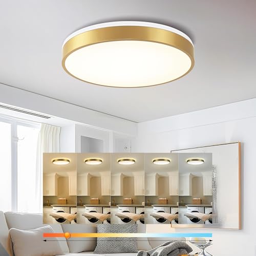 Image of Ken & Ricky 16 inch Modern Flush Mount Ceiling Light,Brush Gold,1 Pack