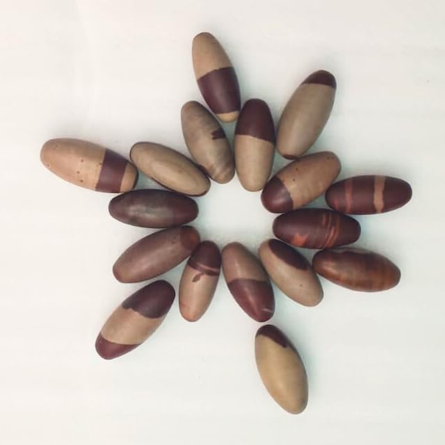 Narmada shiva Lingam Pocket Stone 1"inch (6 piece Lot) Sacred Narmada Bana Lingam | Shri Narmadeshwar Banalinga | Spiritual Sacred Narmada Shiva Lingam stone of the Indian Hindu... - Image 2