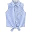 Blue Check Gingham