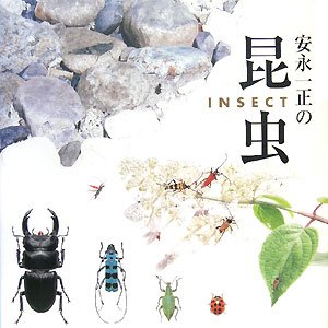 安永一正の昆虫