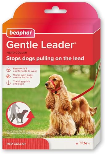 Are dogs allowed on nottingham trams