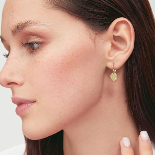 Sterling Silver Hoop Earrings - Handmade Hammered Disc Dangle Leverback, Hypoallergenic Earrings for Women3