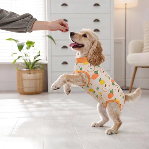 Image of BRKURLEG Small Dog Recovery Suit After Surgery Female Male, Back Zipper Spay Recovery Suit for Dogs & Cats, Anti-Licking Puppy Surgical Onesie for Abdominal Wound, Cone Alternative, Orange S