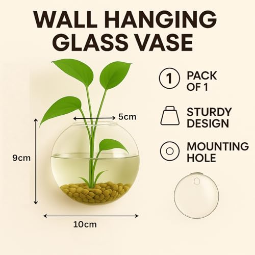 Image of ecofynd Glass Vase for Flowers Plants, Modern Decorative Vase for Home Decor Center Table, Bedroom, Living Room, Office Decoration, Wedding or Gifts, Fish Tank (GVASE007)