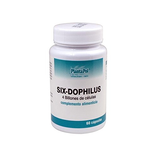 SIX DOPHILUS FORTE