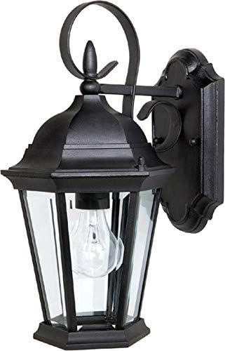 Capital Lighting 9726BK Carriage House Clear Glass Outdoor Wall Sconce, 15"H x 8"W, 1-Light 100 Watt, Black