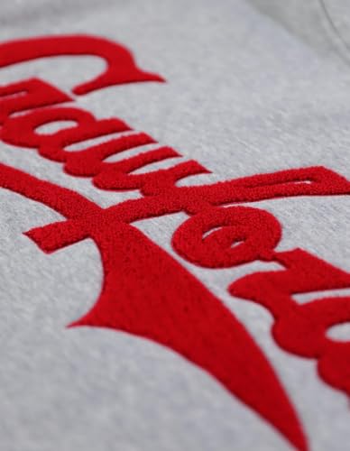 Big Boy Pittsburgh Crawfords Heritage Mens Hoodie [Grey] - ID#39186-79-225-0-04