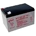 Produktbild Hawker Enersys Genesis NP12-12-WT Akku Blei PB 12 Volt 12000mAh