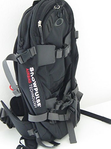 oakley snowmad backpack