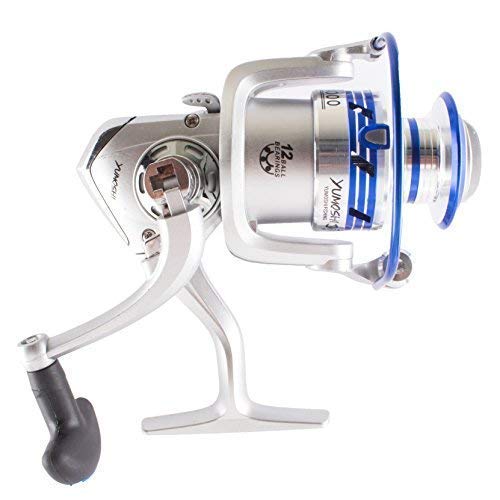 Fishing Spinning Reel with Exchangeable Handle AL6000,12BB
