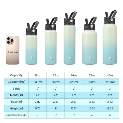 Image of Konokyo 18 oz Insulated Stainless Steel Water Bottle with Straw Lid