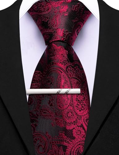 Image of Barry.Wang Paisley Tie for Men Silk Woven Necktie and Tie Clip Set Wedding Party Business Formal