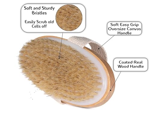 TimBuk2 Dry body Scrubber for Dead Skin Wooden bath brush to Exfoliate & Soften Skin, Improve Circulation, Stop Ingrown Hairs, Reduce Acne and Cellulite (Oval) - Image 3