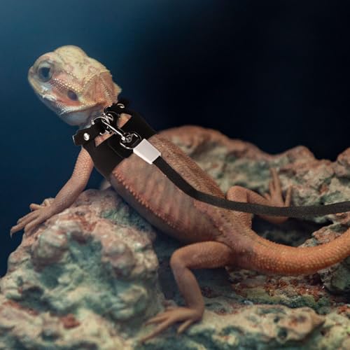 Image of Gosknor Bearded Dragon Harness and Leash Set, 3 Sizes Super Leather Harnesses with Retractable Leash for Reptile Walking (Black)