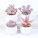 Produktbild Qyjhska 4er Set Mini Künstliche Sukkulenten Pflanzen, Künstliche Pflanzen mit Töpfen,Künstliche Sukkulenten,Kunstpflanzen Klein Deko für Tisch Haus Balkon Büro Deko (Rosa)