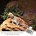 Ozeau Snake Tanks Temperature Humidity Wall Mounted Convenient Reptiles Thermometers Pet Care Accessory with Long Cable