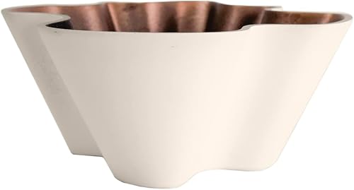 The HC Companies Maceta Venus de 8 pulgadas para suculentas, maceta decorativa única de plástico poco profunda con drenaje, bizcocho de vainilla The HC Companies Maceta Venus de 8 pulgadas para suculentas, maceta decorativa única de plástico poco profunda con drenaje, bizcocho de vainilla