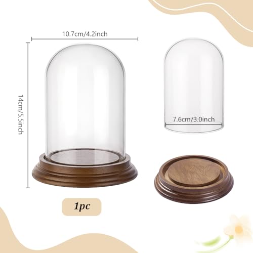 Dôme en verre transparent idéal pour fabriquer une boule à neige