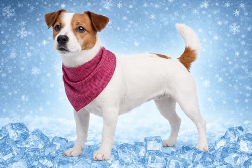 Cane Collare - bandana rinfrescante rosa S 52x22 cm - poliestere traspirante - effetto rinfrescante - 3 strati - assorbente - estate - tipo tappetino refrigerante cane