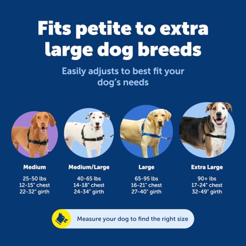 Petsafe front clip dog harness
