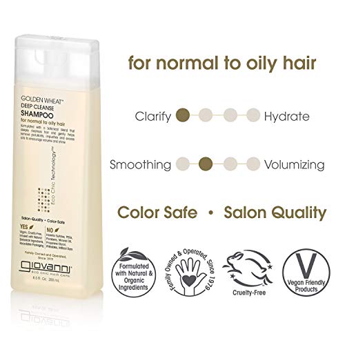 Giovanni 0716237010087 Eco Chic Golden Wheat Deep Cleanse Shampoo - Shampoo For Oily Hair thumb #1