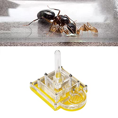 Hábitat de hormigas con torre de agua, caja transparente de observación y juguete educativo 5