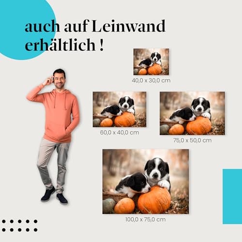 Postereck - 3776 - Hundewelpen, Tier Hund Kürbis Geschwister Natur - Wandposter Fotoposter Bilder Wandbild Wandbilder - Poster - DIN A4-21,0 cm x 29,7 cm