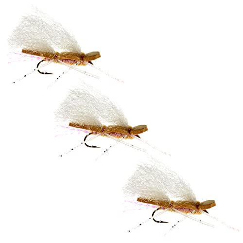 Amazon.com: Chubby Chernobyl Dry Fly by Colorado Fly Supply - UV Tan ...
