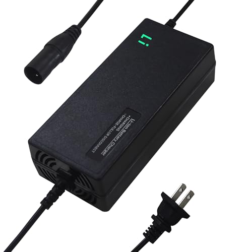 Zylvro Universal Backup Charger, 48V, 2AH, for DeepPower and Other Electric Bike Lithium Battery, Black