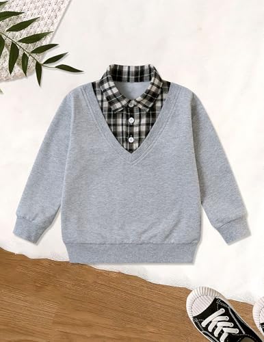 ALISISTER Toddler Boys Sweatshirt Crewneck Thin Long Sleeve Shirts 2-6 Years2